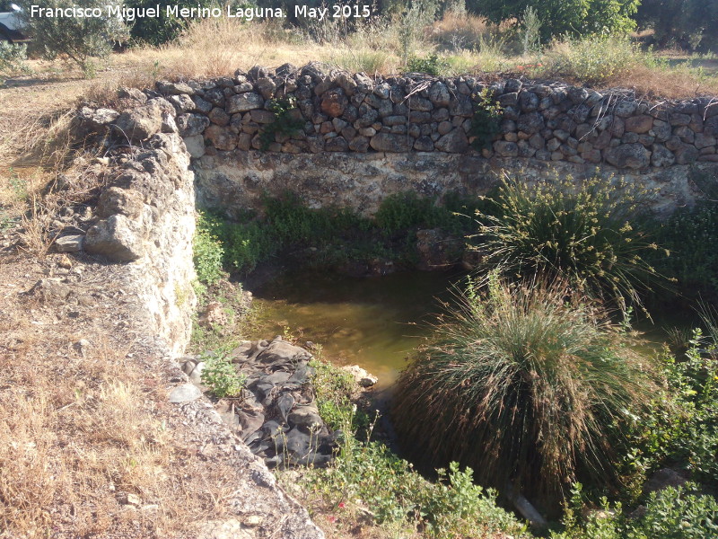 Alberca de la Cerca - Alberca de la Cerca. 