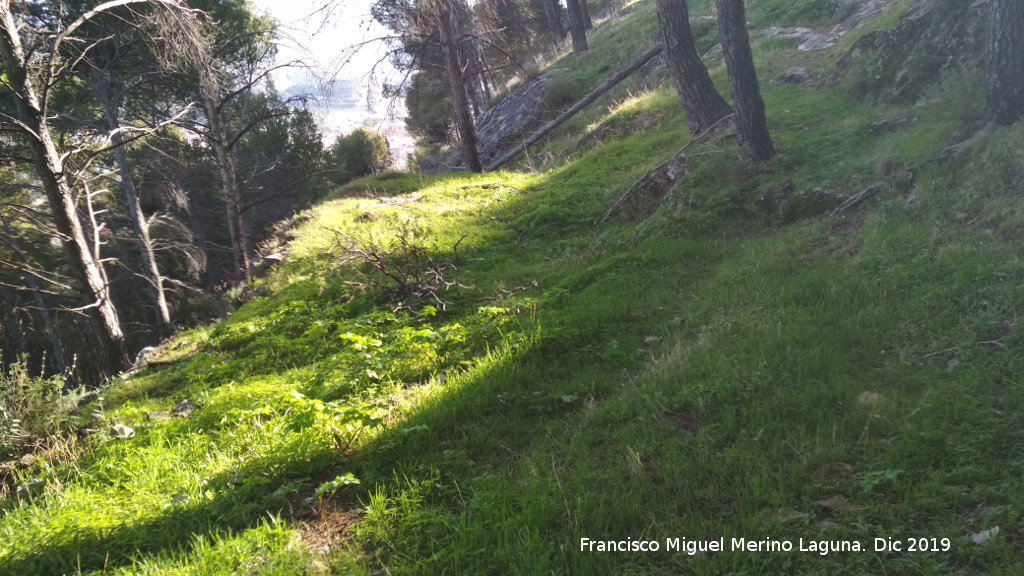 Palacio Musulm�n de Santa Catalina - Palacio Musulm�n de Santa Catalina. Zona alta