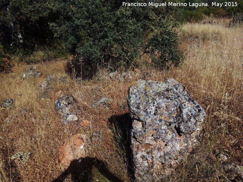 Yacimiento La Cerca - Yacimiento La Cerca. Muralla