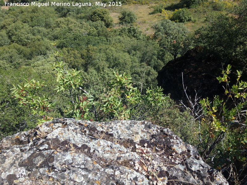 Yacimiento de Cabeza Alta - Yacimiento de Cabeza Alta. Altura de la zona de acantilados naturales sin muralla