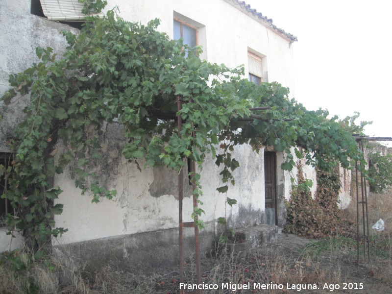 Cortijo de Iznadiel - Cortijo de Iznadiel. Cortijo con porche de parra