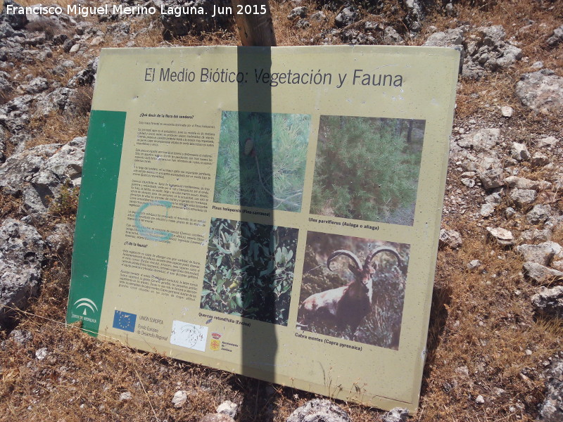 Mirador del Pecho de la Fuente - Mirador del Pecho de la Fuente. Panel de flora y fauna