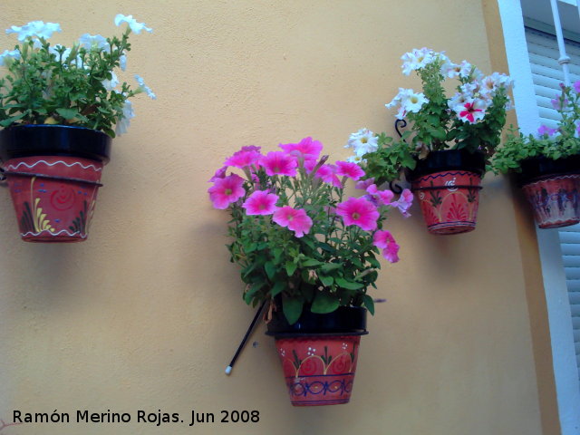 Petunia - Petunia. Los Villares