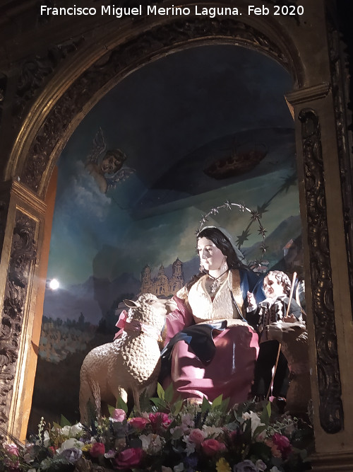 Bas�lica de San Ildefonso. Altar de la Divina Pastora - Bas�lica de San Ildefonso. Altar de la Divina Pastora. 