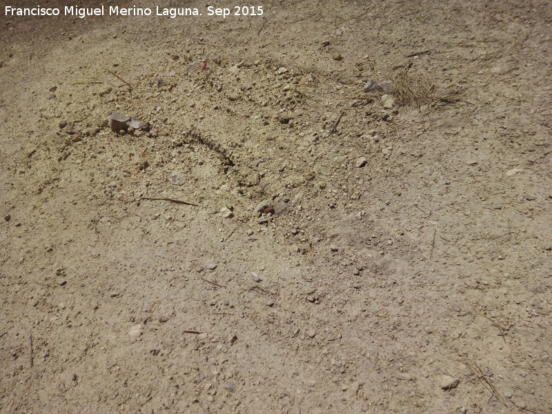 Abrigo Neandertal de la Serrezuela - Abrigo Neandertal de la Serrezuela. Zona de la excavacin arqueolgica