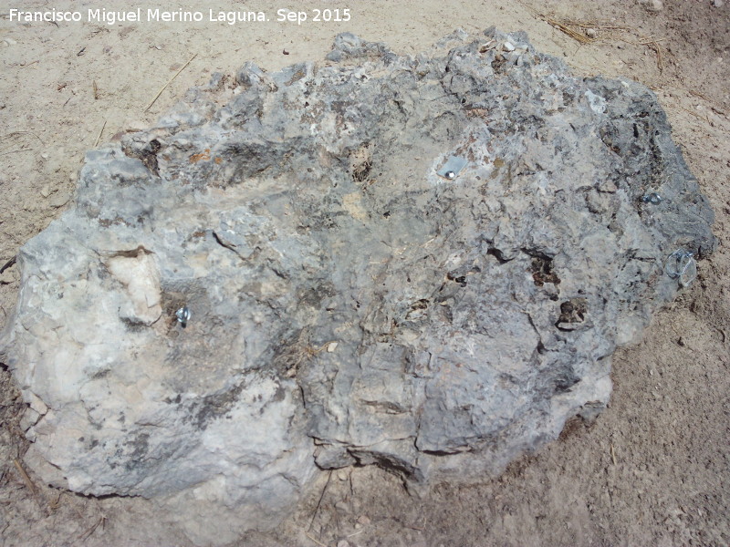 Abrigo Neandertal de la Serrezuela - Abrigo Neandertal de la Serrezuela. Puntos de anclaje para la excavacin arqueolgica