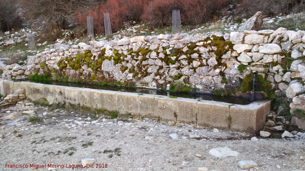 Fuente del Espino - Fuente del Espino. 