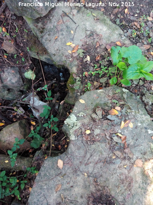 Molino del Rinc�n - Molino del Rinc�n. Desag�e