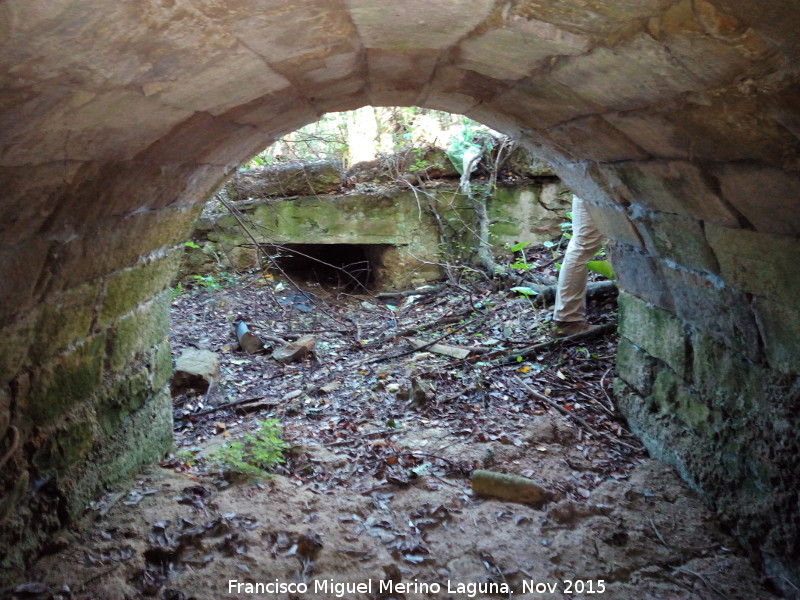 Molino del Rinc�n - Molino del Rinc�n. 