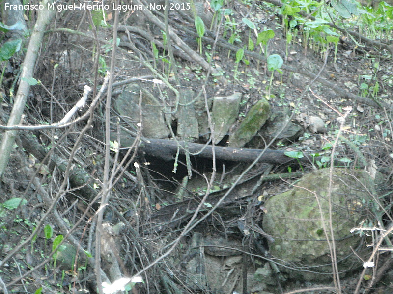 Molino del Rinc�n - Molino del Rinc�n. Boca del canal