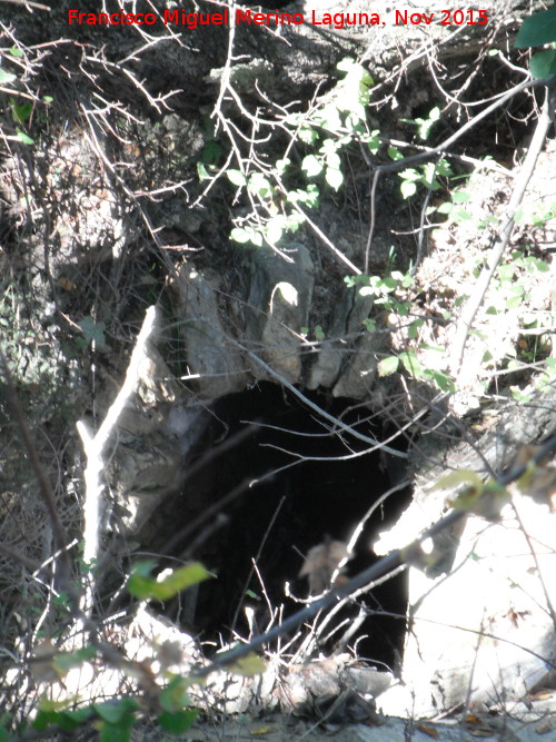 Molino del Rinc�n - Molino del Rinc�n. Boca del canal
