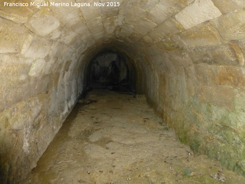 Molino del Rinc�n - Molino del Rinc�n. 