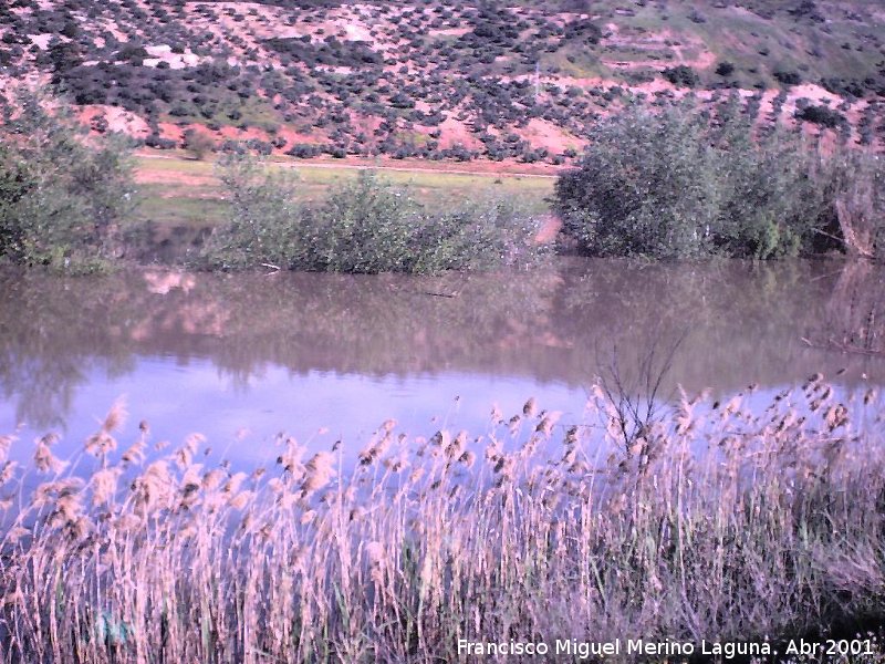 Pantano de Giribaile - Pantano de Giribaile. Colas del pantano por el Puente Ariza en 2001