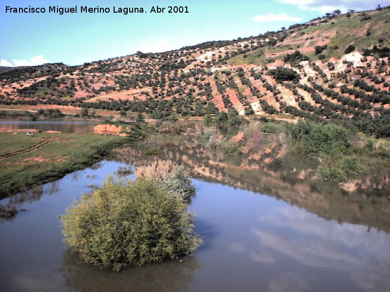 Pantano de Giribaile - Pantano de Giribaile. Colas del pantano por el Puente Ariza en 2001
