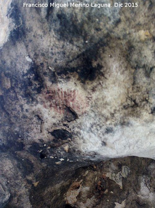 Pinturas rupestres de la Cueva de la Graja-Grupo VII - Pinturas rupestres de la Cueva de la Graja-Grupo VII. Ramiforme