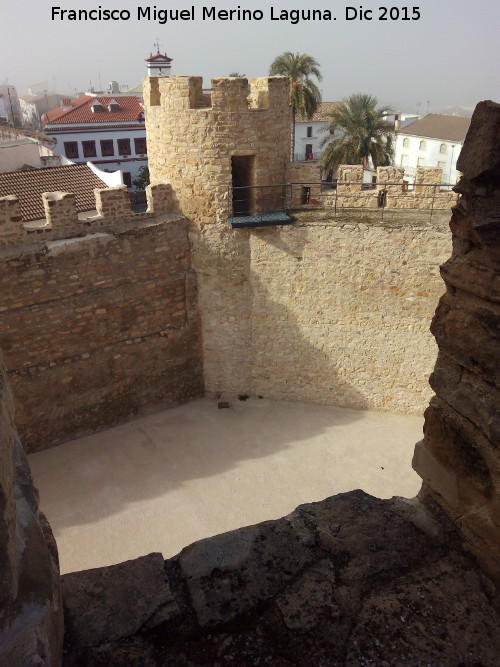 Castillo de Lopera. Torren Oeste - Castillo de Lopera. Torren Oeste. Desde la azotea norte del Alczar