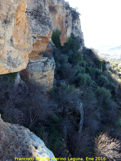 Abrigo del Carnero - Abrigo del Carnero. Vistas de los Tajos de San Marcos desde el abrigo