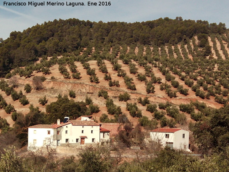 Cortijo de la Caada de la Parra - Cortijo de la Caada de la Parra. 