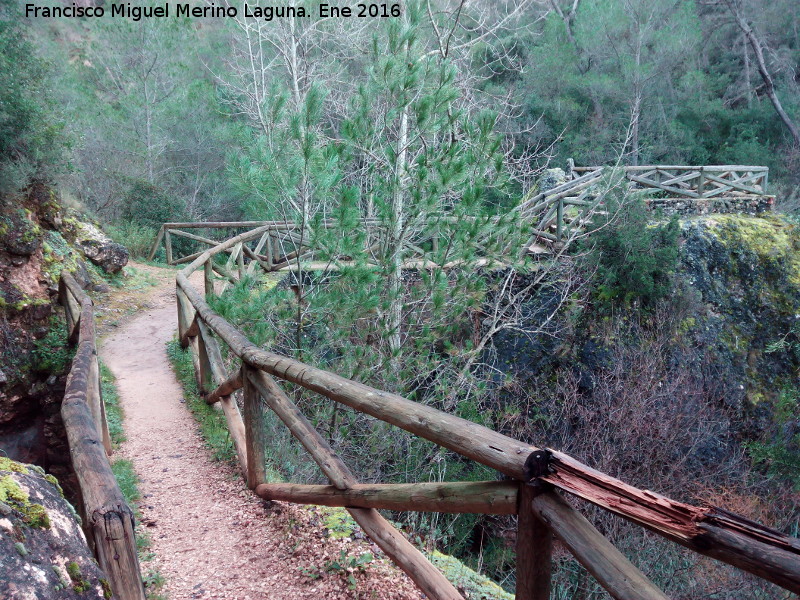 Mirador del Charco de la Pringue - Mirador del Charco de la Pringue. 