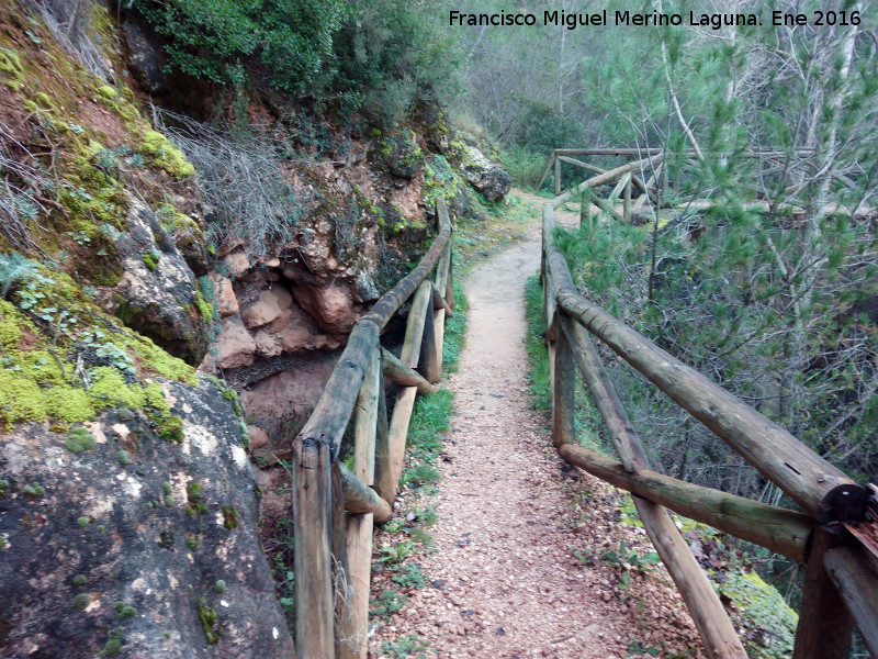 Mirador del Charco de la Pringue - Mirador del Charco de la Pringue. Sendero