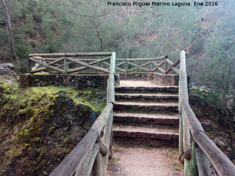 Mirador del Charco de la Pringue - Mirador del Charco de la Pringue. 