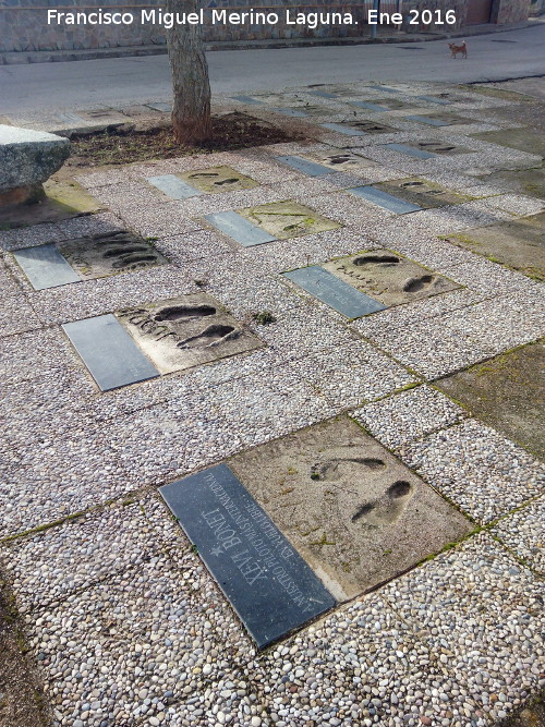 Paseo de las Estrellas del Aire de El Ojuelo - Paseo de las Estrellas del Aire de El Ojuelo. 