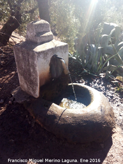 Fuente de los Negros - Fuente de los Negros. 