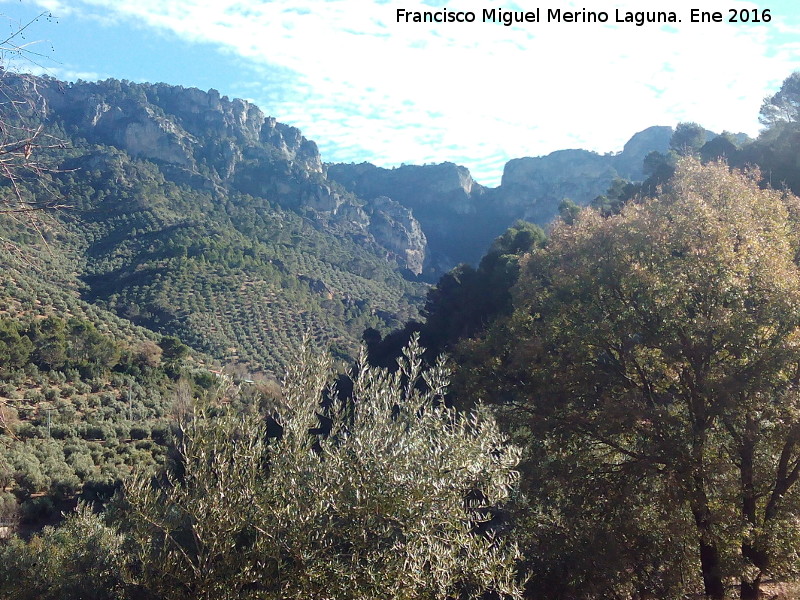 Paraje Fuente del Tejo - Paraje Fuente del Tejo. 