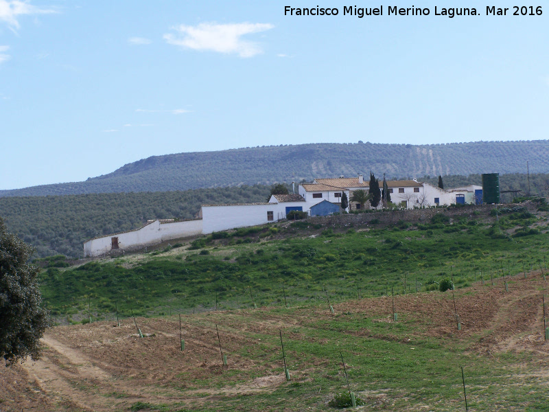 Cortijo de la Torrecilla de Monsalve - Cortijo de la Torrecilla de Monsalve. 