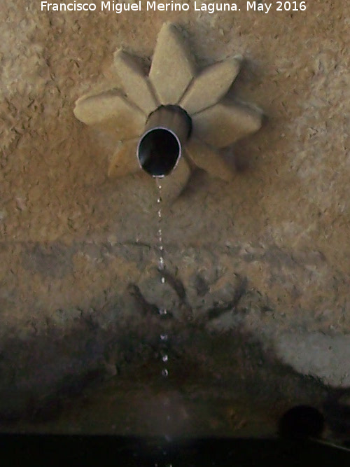 Fuente de Ribera Baja - Fuente de Ribera Baja. Cao