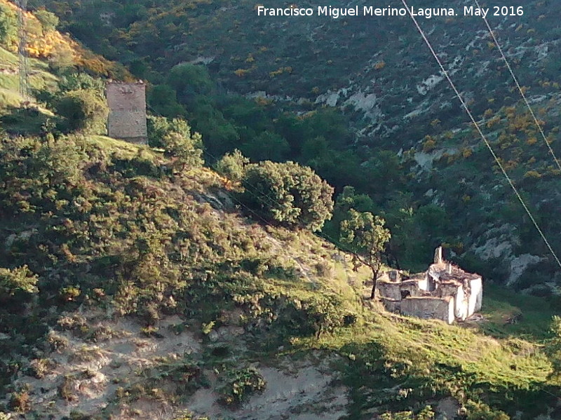 Cortijo del Pedregoso - Cortijo del Pedregoso. Caseta y cortijo