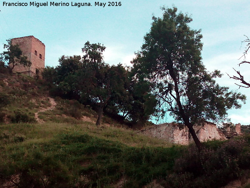 Caseta de la Luz del Pedregoso - Caseta de la Luz del Pedregoso. Caseta y cortijo