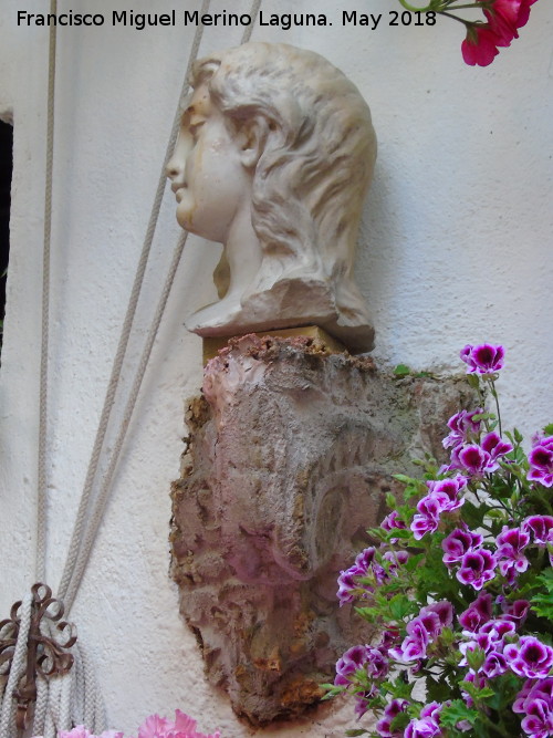 Casa de la Calle San Juan de Palomares n 8 - Casa de la Calle San Juan de Palomares n 8. Busto