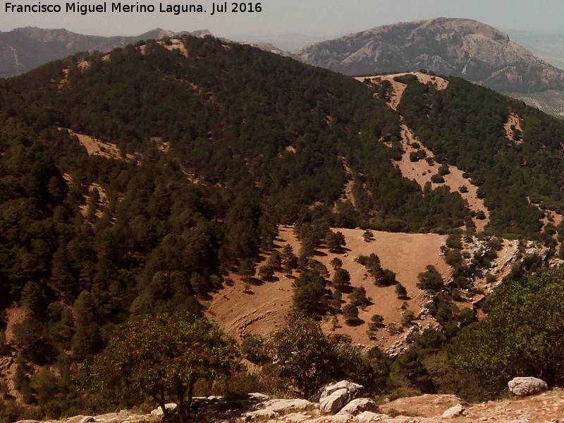 Cerro del P�lpito - Cerro del P�lpito. 