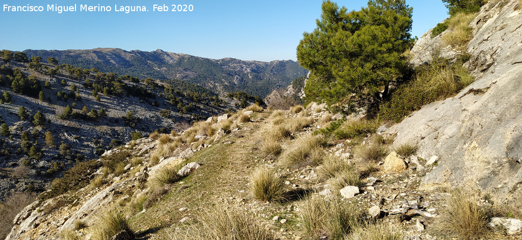 Camino del Poyo de las Palomas - Camino del Poyo de las Palomas. 