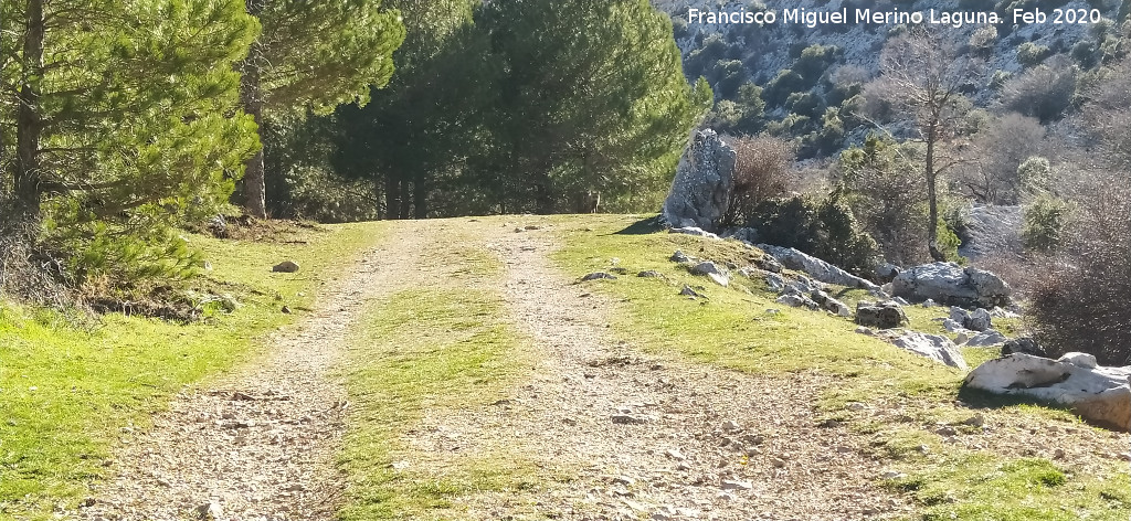 Camino del Poyo de las Palomas - Camino del Poyo de las Palomas. Con un zorro