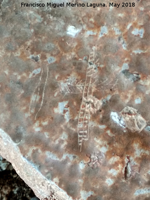 Eremitorio de la Cueva de las Cruces - Eremitorio de la Cueva de las Cruces. Grabado y cruz latina reticulada