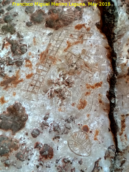 Eremitorio de la Cueva de las Cruces - Eremitorio de la Cueva de las Cruces. Cruz rayada y hoja