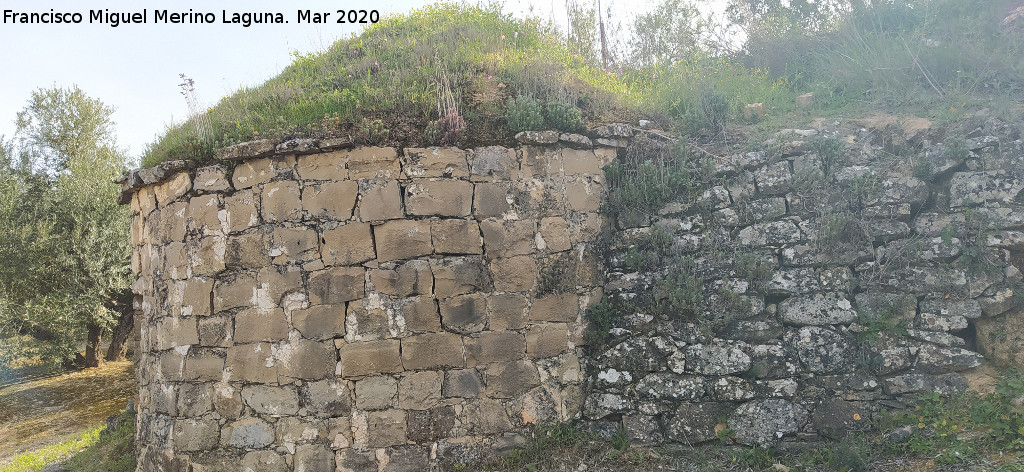 Caracol de la Ponderosa - Caracol de la Ponderosa. Lateral