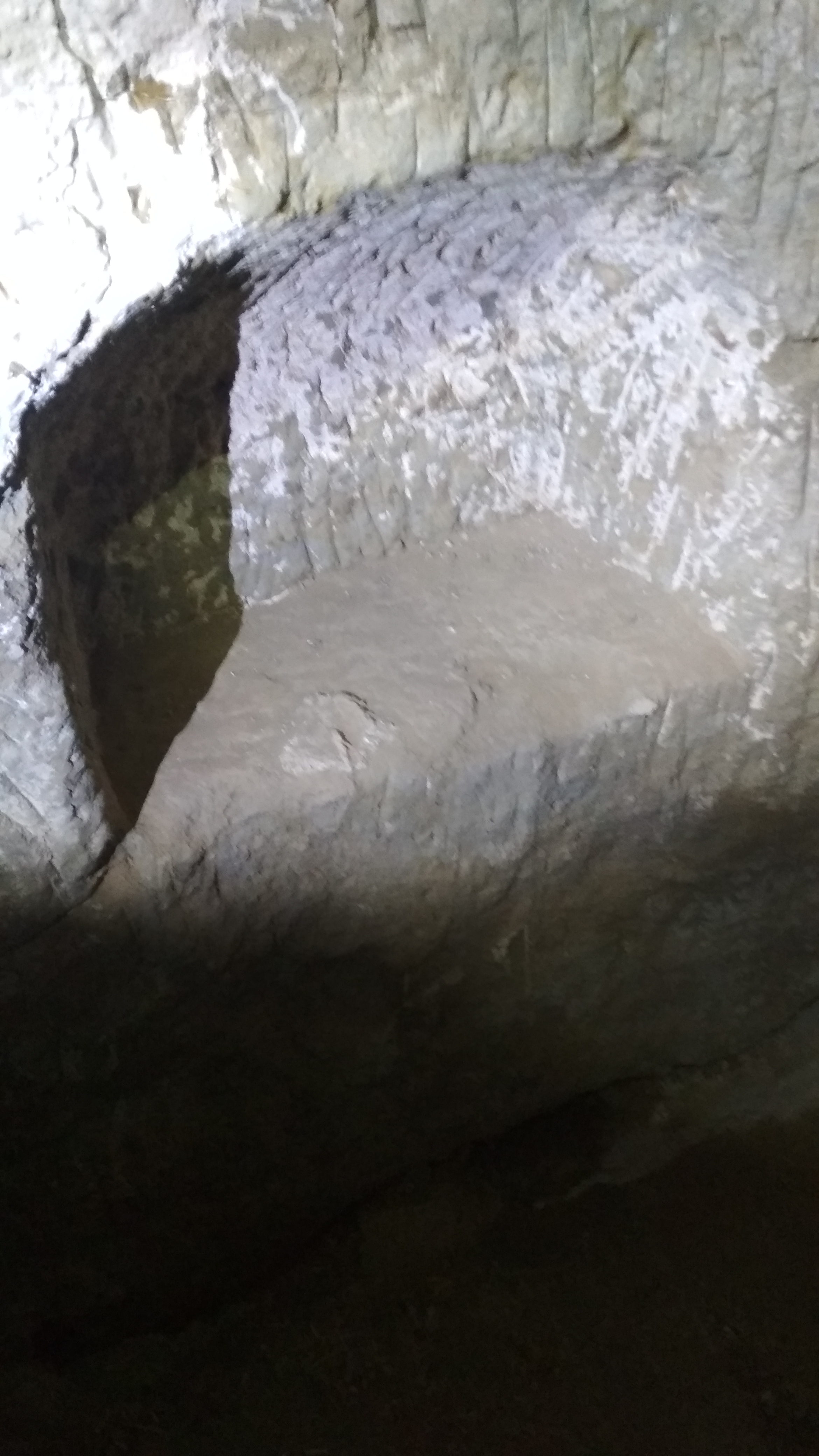 Ermita de San Torcuato - Ermita de San Torcuato. Lacena