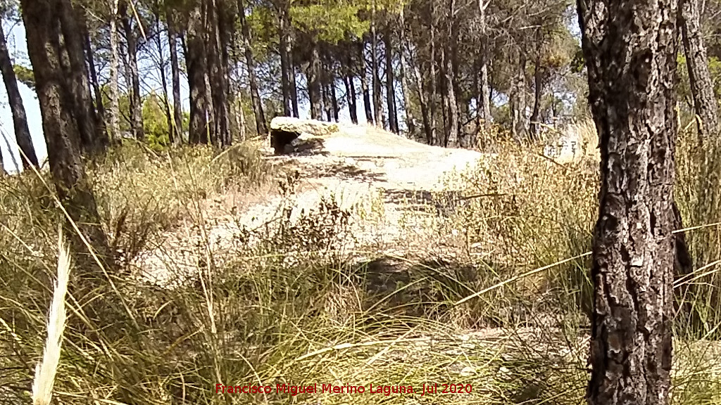 Dolmen XI - Dolmen XI. 