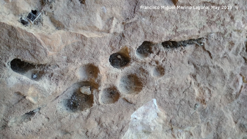 Pinturas rupestres de la Cueva de los Molinos - Pinturas rupestres de la Cueva de los Molinos. Cazoletas