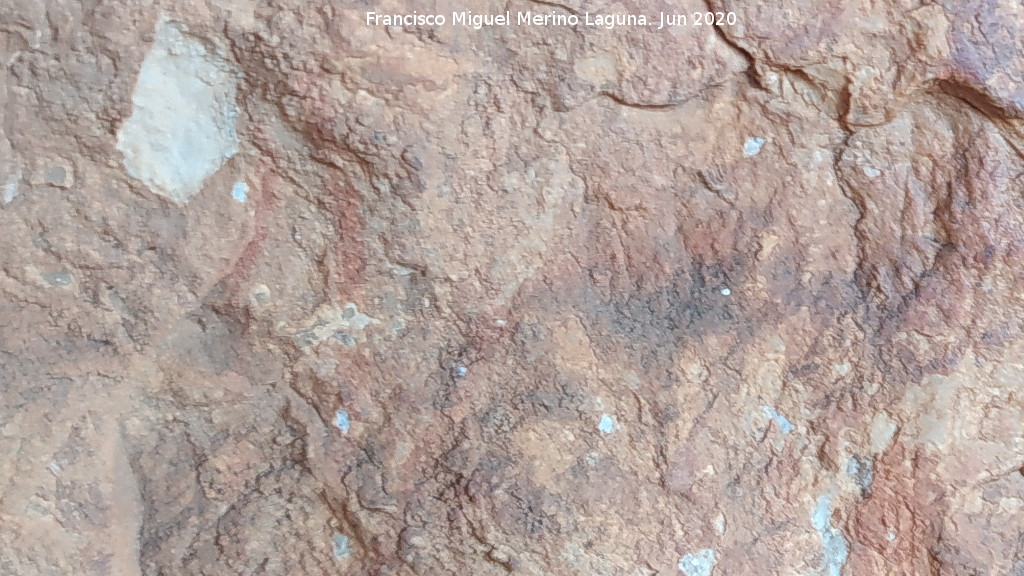 Pinturas rupestres de la Cueva de los Molinos - Pinturas rupestres de la Cueva de los Molinos. Posible zoomorfo in�dito