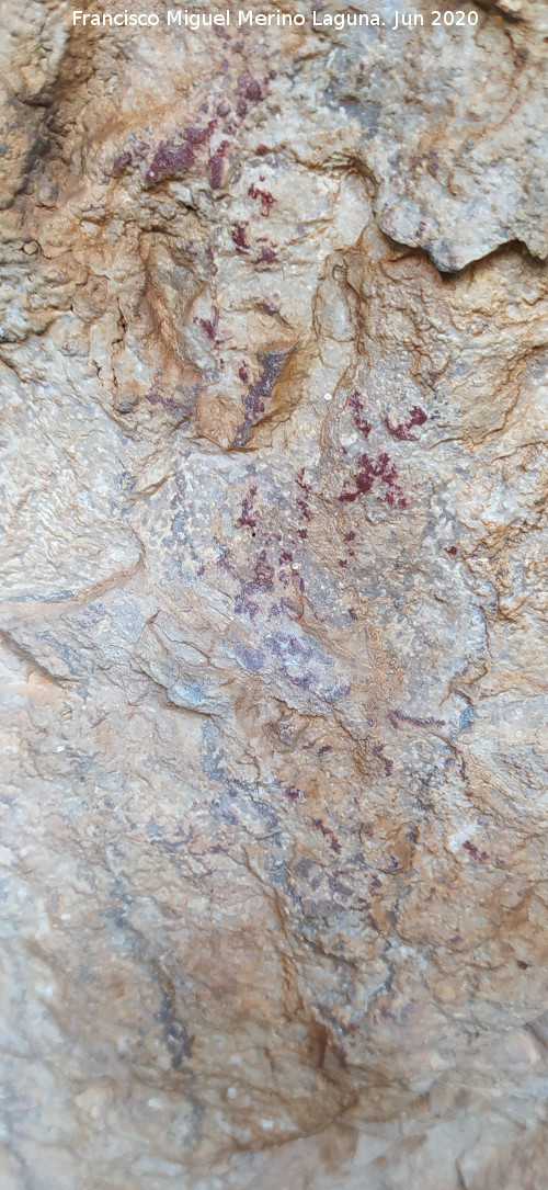 Pinturas rupestres de la Cueva de los Molinos - Pinturas rupestres de la Cueva de los Molinos. Pinturas de la pared izquierda