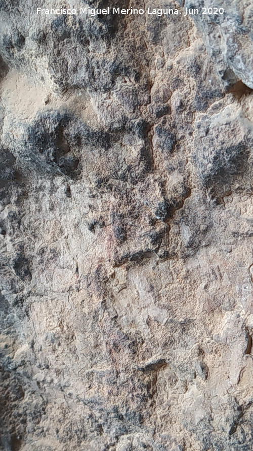 Pinturas rupestres de la Cueva de los Molinos - Pinturas rupestres de la Cueva de los Molinos. Pinturas de la pared izquierda