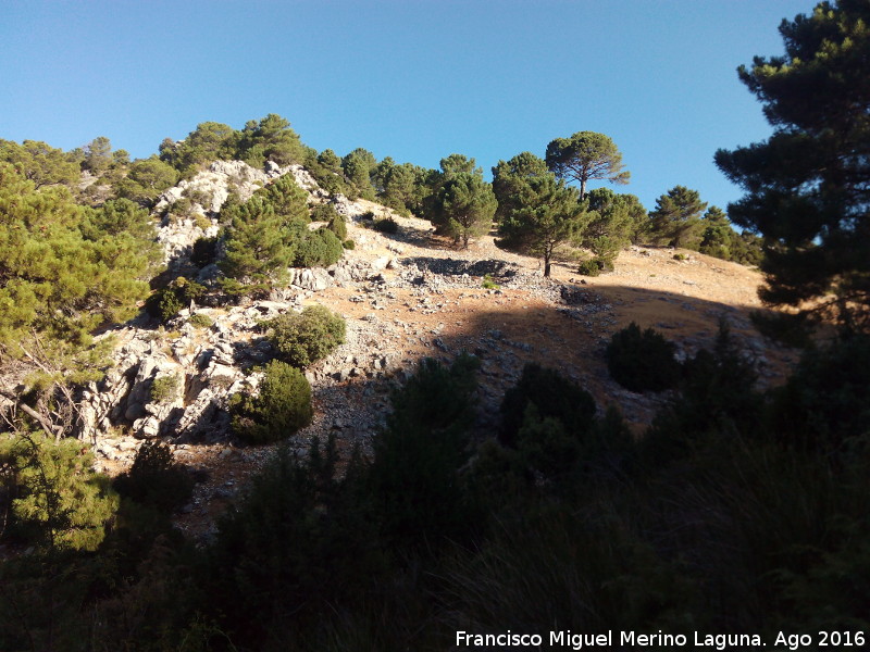 Cortijo de la Tejera - Cortijo de la Tejera. 