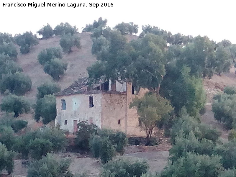 Cortijo del Quejigal - Cortijo del Quejigal. 