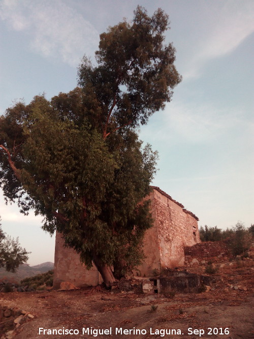 Cortijo del Quejigal - Cortijo del Quejigal. 