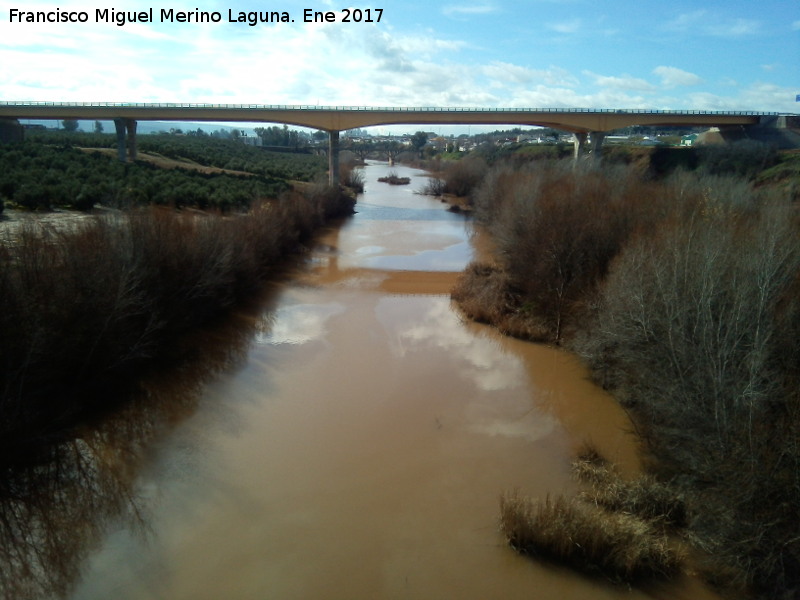 Ro Guadalimar - Ro Guadalimar. A su paso por la Estacin Linares Baeza