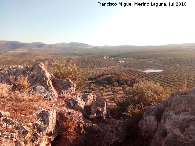 Yacimiento Cerro Largo - Yacimiento Cerro Largo. Vistas
